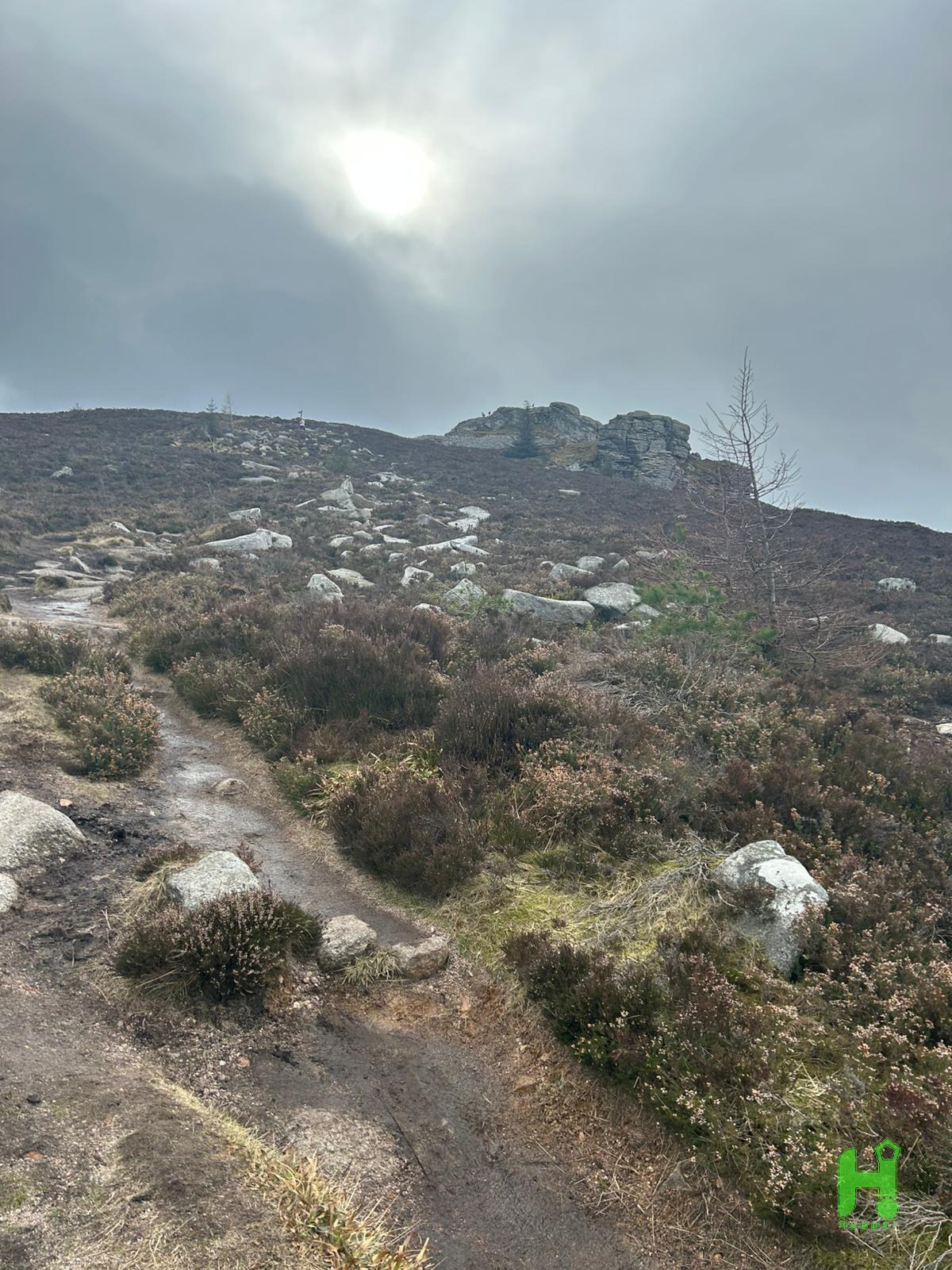 comment media
